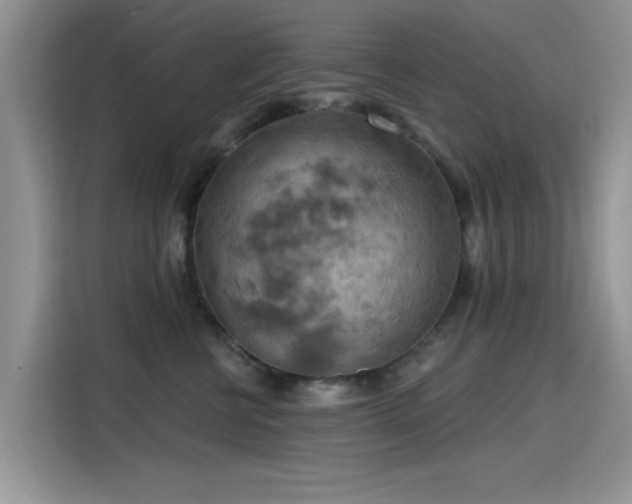 X0000115590570200911171032