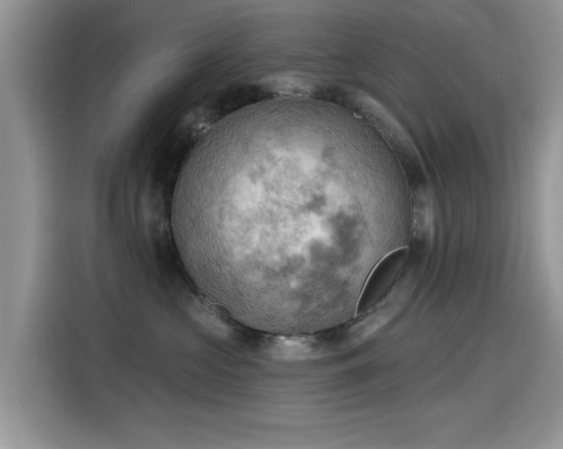 X0000115590573200911171032