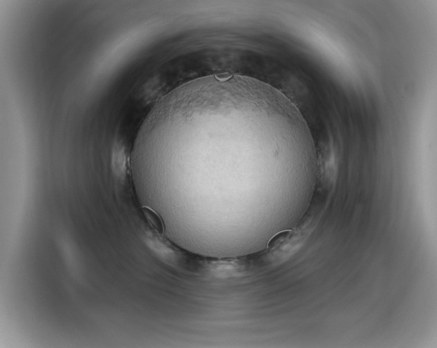 X0000115590574200911171032