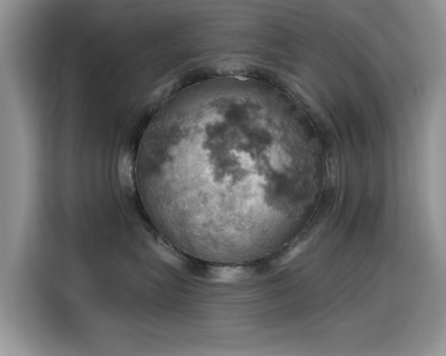 X0000115590575200911171032