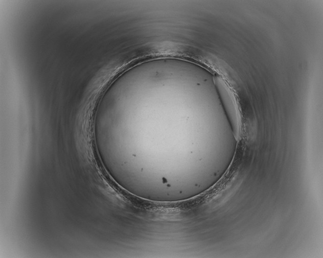 X0000115590577200911171031