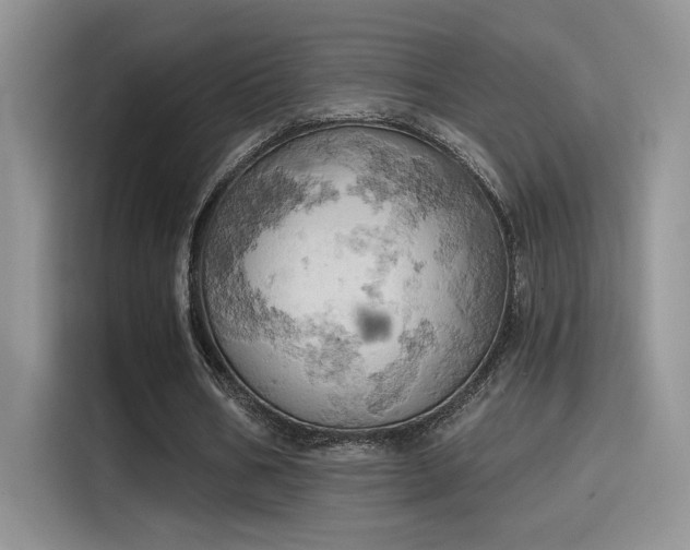 X0000115590578200911171031