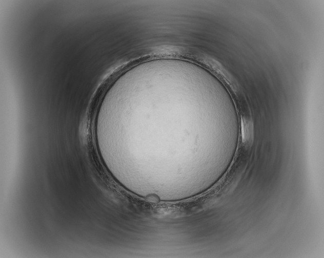 X0000115590579200911171031