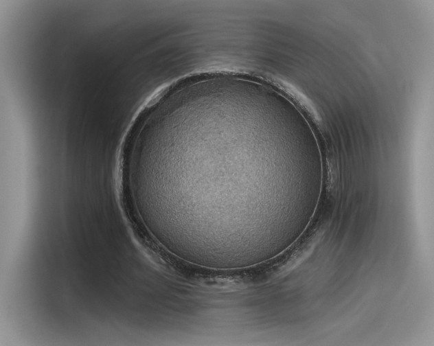 X0000115590580200911171031