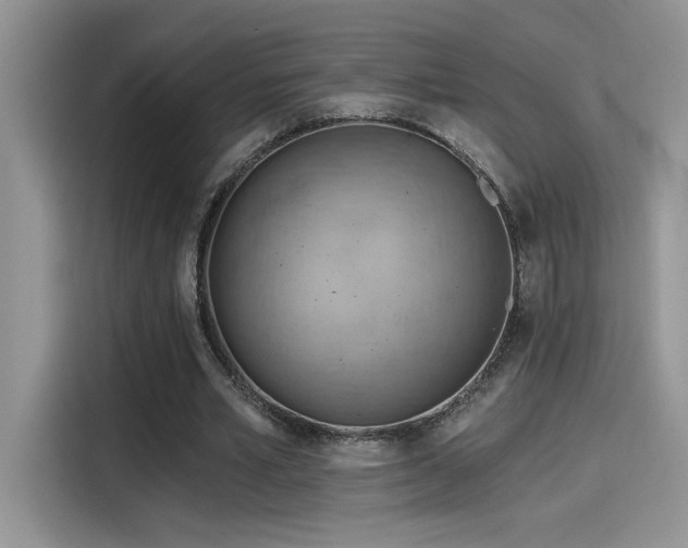 X0000115590581200911171031