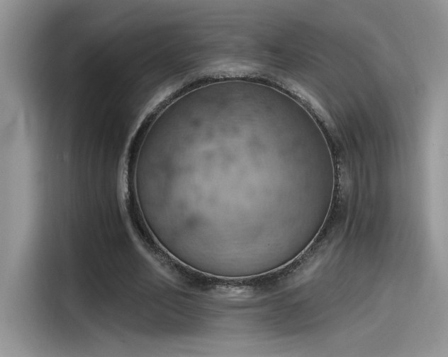 X0000115590582200911171031