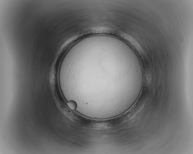 X0000115590583200911171031