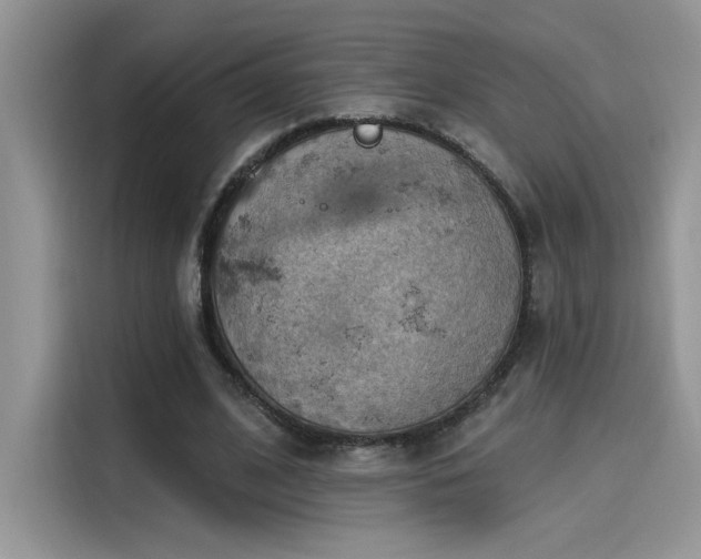 X0000115590584200911171031
