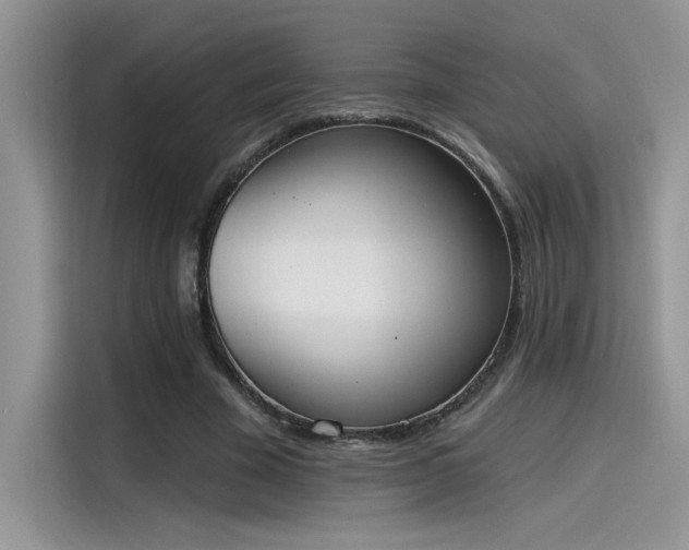 X0000115590585200911171031