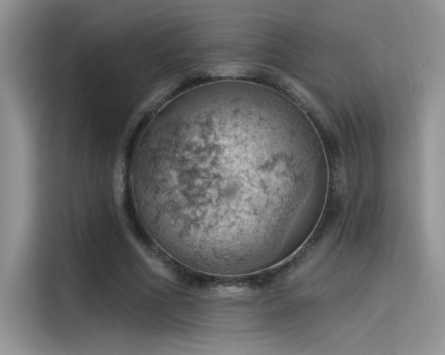 X0000115590586200911171031
