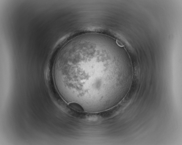 X0000115590587200911171031