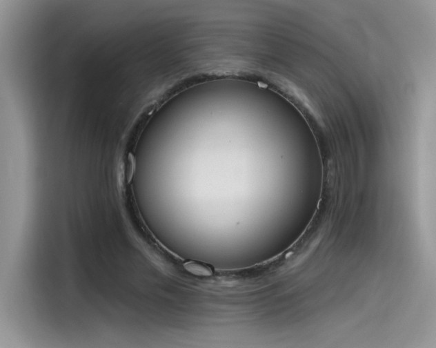 X0000115590589200911171031