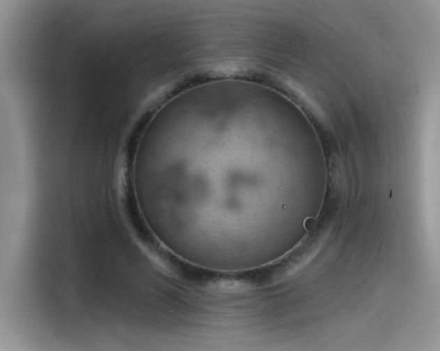 X0000115590590200911171031