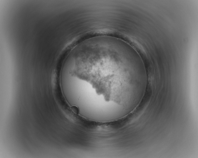 X0000115590591200911171031