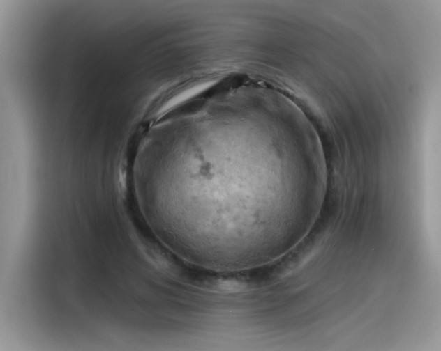 X0000115590592200911171031