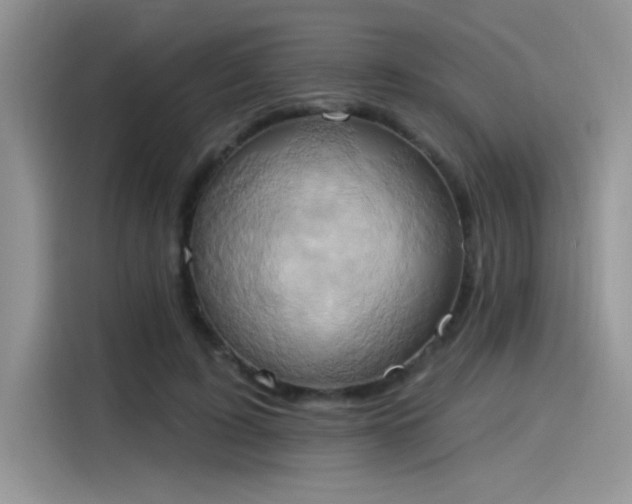 X0000115590595200911171031