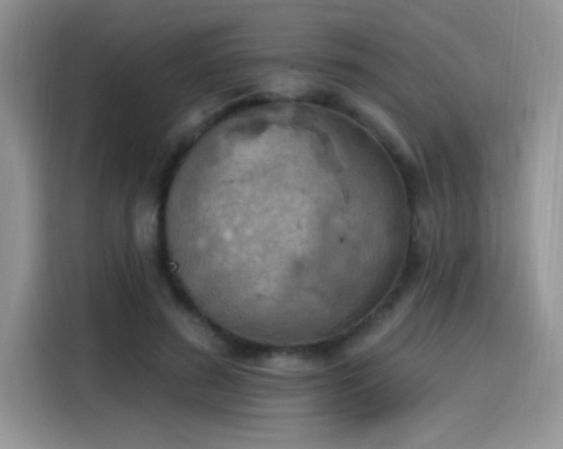 X0000115590596200911171031
