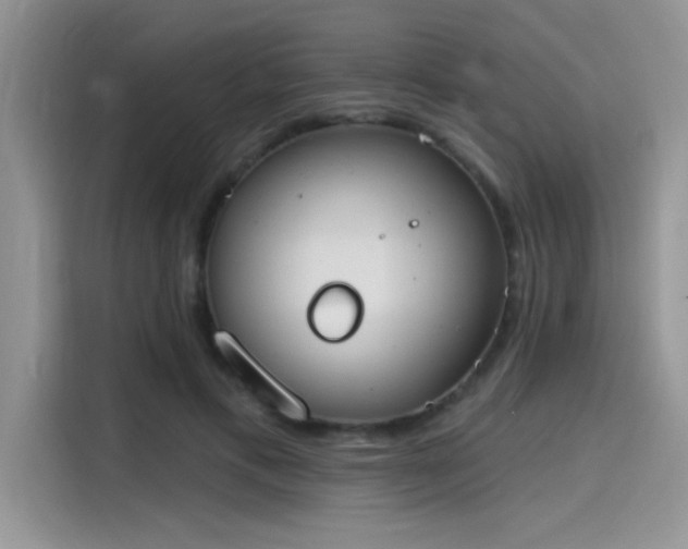X0000115590597200911171031