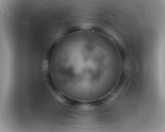 X0000115590598200911171031