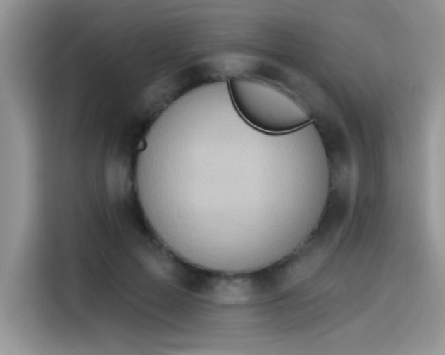 X0000115590599200911171031