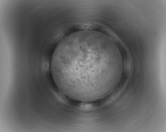 X0000115590602200911171031