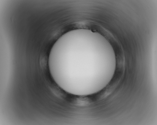 X0000115590603200911171031