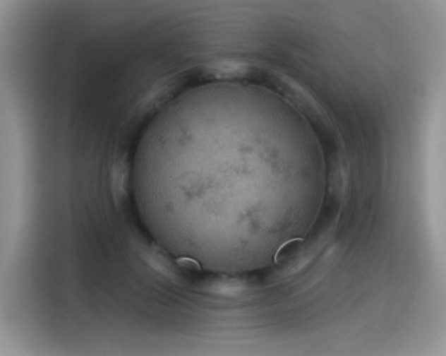 X0000115590604200911171031