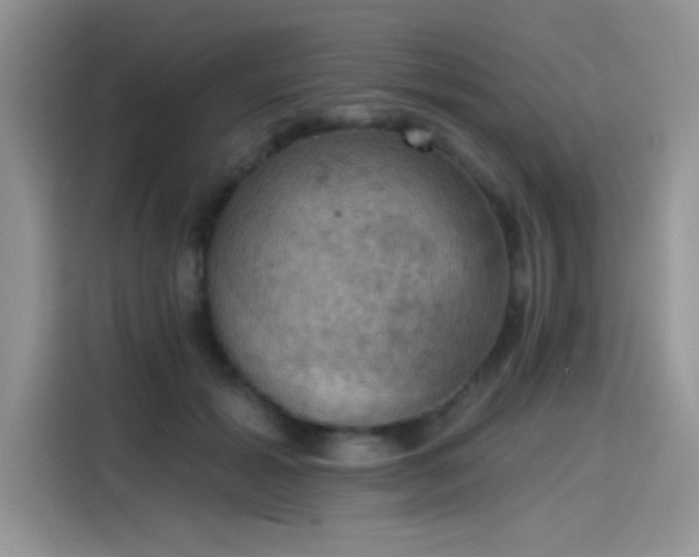 X0000115590605200911171031