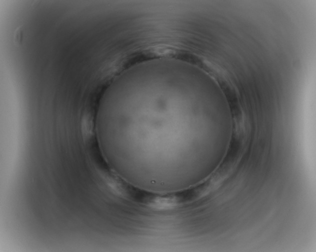 X0000115590606200911171031
