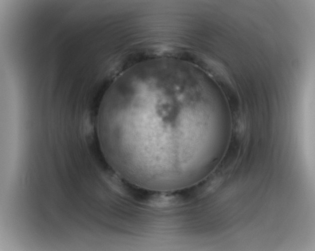 X0000115590607200911171031