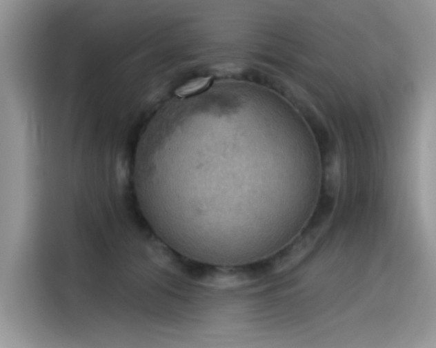 X0000115590608200911171031
