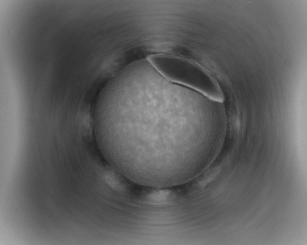 X0000115590609200911171031