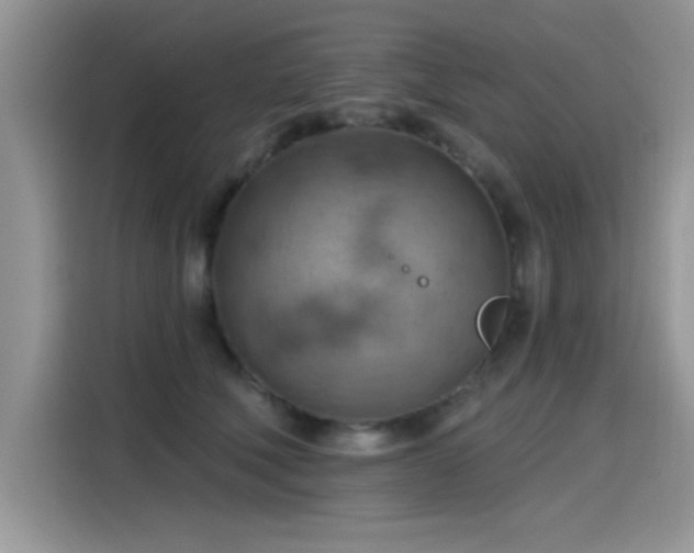 X0000115590610200911171031
