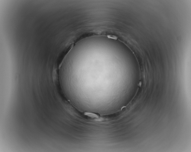 X0000115590611200911171031