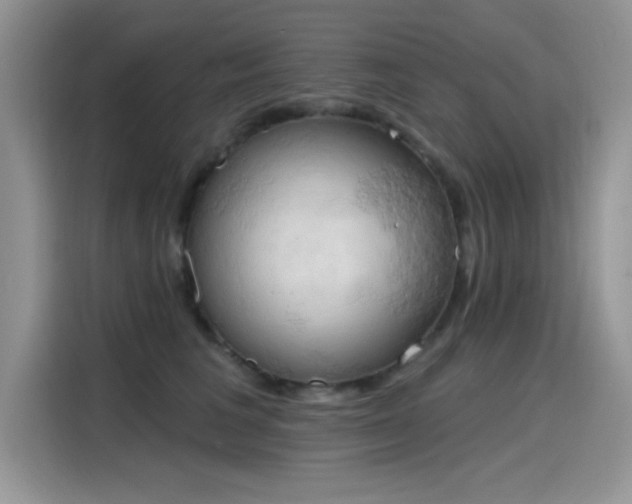 X0000115590613200911171031