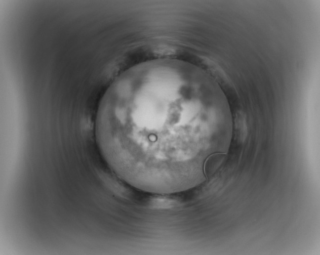 X0000115590614200911171031