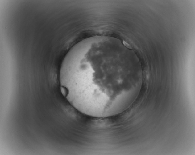X0000115590615200911171031