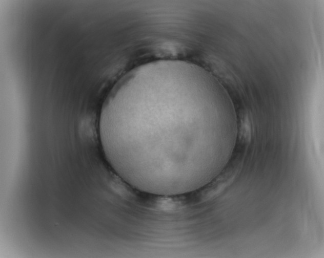 X0000115590616200911171031