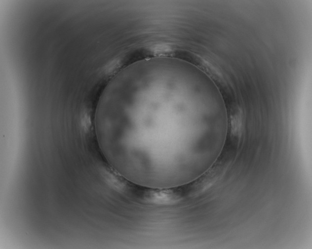 X0000115590618200911171031