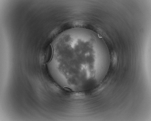 X0000115590619200911171031