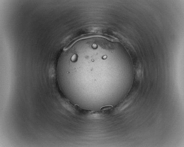 X0000115590620200911171031