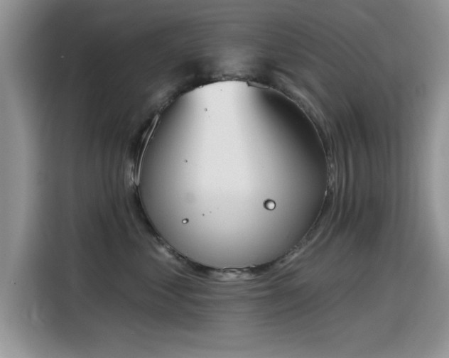X0000115590621200911171031