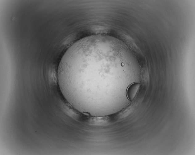 X0000115590622200911171031