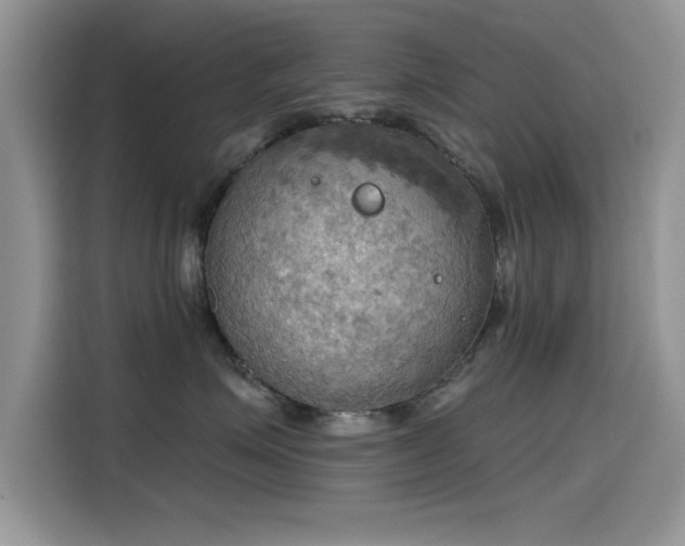 X0000115590623200911171031