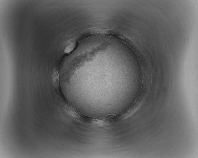 X0000115590624200911171031