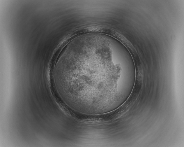 X0000115590626200911171030