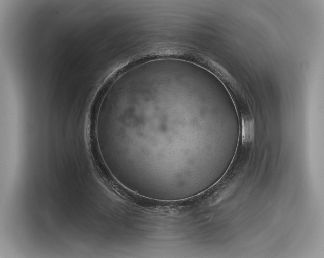 X0000115590627200911171030