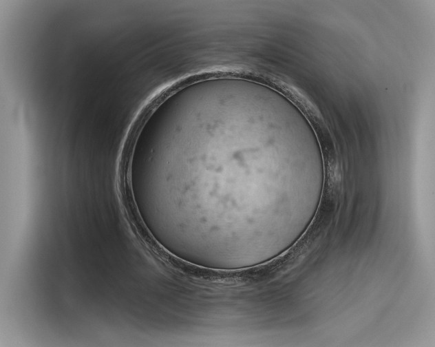 X0000115590628200911171030