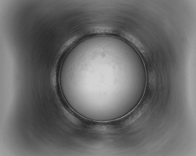 X0000115590629200911171030