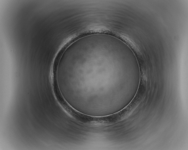 X0000115590630200911171030